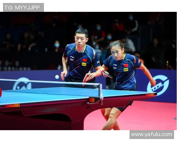 从零起步打造乒乓球团队协作的全方位实用指南与技巧分享